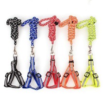 Night Glow Braided Traction Leash With Reflective Chest Strap - £11.03 GBP+