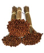 Xyris indica L. Dried Flowers for Natural Decor - Durable &amp; Versatile - $278.20 MXN