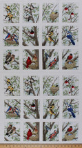 23.5&quot; X 44&quot; Panel Beautiful Birds Bird Birdwatching Cotton Fabric Panel D505.30 - £18.16 GBP