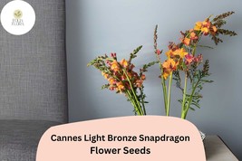 Cannes Light Bronze Snapdragon Seeds (Antirrhinum majus) | 1000+ Seeds |... - $304.71 MXN