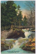 Postcard Woodland Wonderland In The Pocono Mountains Pennsylvania - $3.42