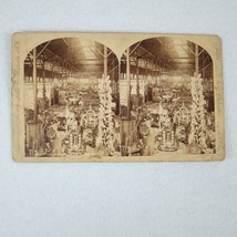 Antique 1884 New Orleans Exposition Stereoview California Pampas Grass G&amp;S RARE - £157.37 GBP