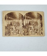 Antique 1884 New Orleans Exposition Stereoview California Pampas Grass G... - £156.72 GBP