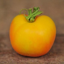 Thjar 30 Garden Peach Tomato Seeds~ NON-GMO - $4.99