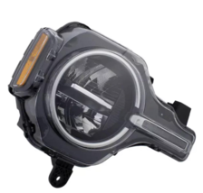 Genuine Ford Headlamp Assembly P2DZ-13008-B - €678,17 EUR