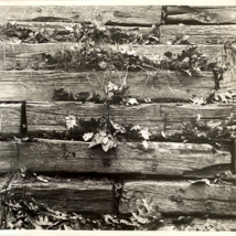 c1970 Original Wood Fence Steven Willhite Glen Ellen IL Black White Photograph - £11.95 GBP