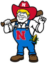 T Nebraska Cornhuskers Logo Mascot Poster 12x8in Metal Sign NCAA College - €21,34 EUR