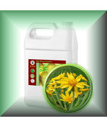 Arnica Oil (Arnica Montana) Flower Extract - Extra Strength Concentrated... - $440.02