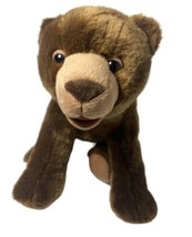 Kohls Cares Brown Bear What Do You See First Edition 2008 12 in Eric Carle Plush - $9.14