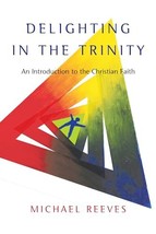 Delighting in the Trinity: An Introduction to the Christian Faith [Paper... - £9.34 GBP