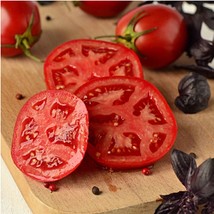 USA Seller Better Bush Tomato Seeds Fast Shipping - £10.09 GBP