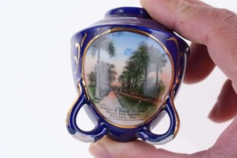 c1910 Miami Florida Avenue of Royal Palms Musa Isle Grove Cobalt German Souvenir - £74.31 GBP