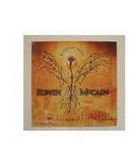 Edwin Mccain Poster Flat Misguided Roses - €7,88 EUR