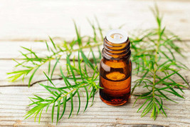 Organic Tea tree oil  100ml - $26.88