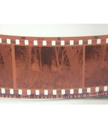 Hood River News - Volunteers Map Green Space - Film Negative Archives - $19.68 CAD