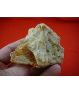(k-2646) 70 g Rare Kauri tree Gum copal young Amber New Zealand Tane Mahuta - $1,700.62 MXN