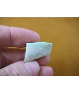 (O-240-8) 5.8 grams green orange flash Coober Pedy opal specimen stone A... - $51.28 CAD