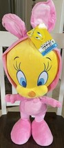 2022 Easter Spring Bunny Looney Tunes Tweety Bird Door Porch Greeter Decor NWT - £43.58 GBP