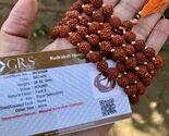2 Pc LAB CERTIFIED 5 Mukhi RUDRAKSHA Rudraksh Mala ROSARY 108+1 Prayer B... - $39.19