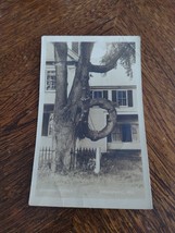 Old REAL PHOTO 1930s Postcard of THE DOUGHNUT TREE Fryeburg Maine - £6.09 GBP