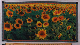 23.5&quot; X 44&quot; Panel Field of Sunflowers Floral Harvest Cotton Fabric Panel D763.55 - £8.76 GBP