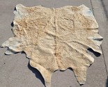 Tan and Ivory Cowhide Rug Giant Size Approximately 8&#39; x 6.5&#39; Worn *PLEAS... - $399.95