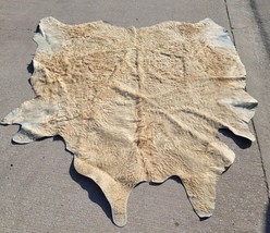 Tan and Ivory Cowhide Rug Giant Size Approximately 8&#39; x 6.5&#39; Worn *PLEAS... - £317.92 GBP