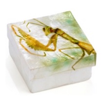 Kubla Craft Capiz Art Praying Mantis Trinket Box - £12.57 GBP