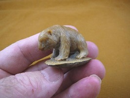 (tb-bear-7) little brown Grizzly Bear Tagua NUT palm figurine Bali carving bears - £39.18 GBP