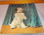Dogs Paintings and Stories Diana Thorne 1932 Over Size Soft Cover Book - £15.80 GBP