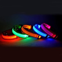 Luminous Glow-In-The-Dark Led Pet Collar: The Ultimate Night Safety Accessory Fo - £10.87 GBP+