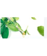 ORALWELL Tooth paste,Refreshing Mint Formula - $19.99