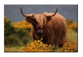 Wall Decor scottish highland cattle Painting picture Printed Canvas Giclee - £7.48 GBP+