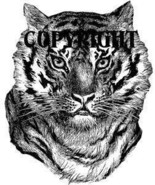 BENGAL TIGER FACE new mounted rubber stamp NEW RELEASE! - €8,27 EUR