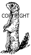 PRAIRIE DOG NEW RELEASE mounted rubber stamp - $6.00