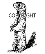PRAIRIE DOG NEW RELEASE mounted rubber stamp - €5,21 EUR