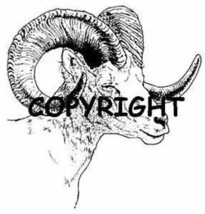 BIGHORN SHEEP SIDEVIEW NEW mounted rubber stamp - £7.13 GBP