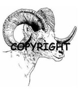 BIGHORN SHEEP SIDEVIEW NEW mounted rubber stamp - €7,82 EUR