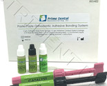 Prime Dent Orthodontic Adhesive Resin Syringe Paste Syringe Kit 5g/5gm &amp;... - $25.99