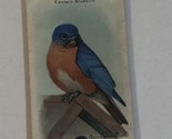 Arm &amp; Hammer Useful Birds Of America Antique #10 Eastern Bluebird VTC2 - £3.10 GBP