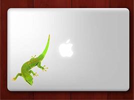 Giant Day Gecko Laptop Decal - 8&quot; tall x 6&quot; wide - £4.02 GBP
