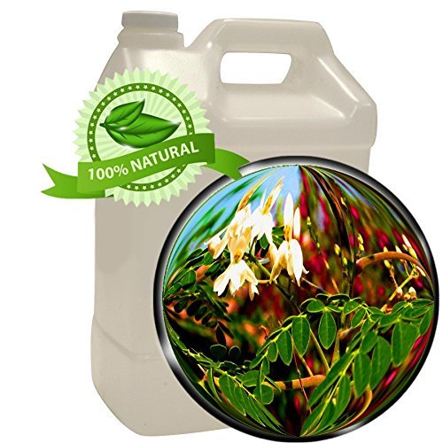 Moringa (Ben) Oil - Moringa Oleifera - 1 gallon (128oz)- Super Moisturizer, Anti