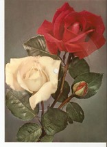 Old Musical 45rpm Record Postcard Schallbildkarte Roses Gorling Birthday Geburts - £6.01 GBP