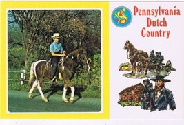 Postcard Pennsylvania Dutch Country Boy Riding Pony  - $3.95