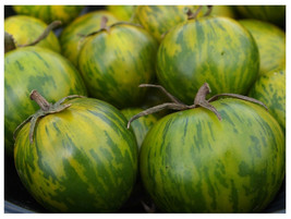GREEN ZEBRA Tomato 25 - 1000 Seeds Heirloom Unique Beautiful Color Salad Bulk - $1.90+