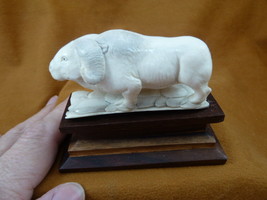 musk-8 white Musk Ox of shed ANTLER figurine Bali detailed carving Arcti... - $122.01