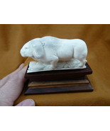 musk-8 white Musk Ox of shed ANTLER figurine Bali detailed carving Arcti... - £96.68 GBP