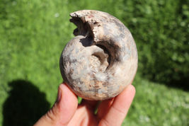 Item image 15