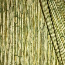 Jungle Fever Fabric Bamboo Canes Charmaine Print Concepts 100% Cotton 1/2 YARD - £4.74 GBP
