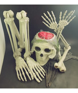 &quot;Skeletal Remains Ground Breaker&quot; w Light-Up Brain Spirit Halloween, Wor... - $61.27 CAD